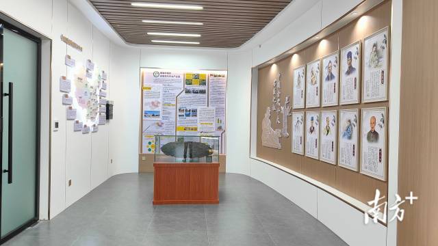 汉阴县启动应急指挥中间建树名目开工决算审计