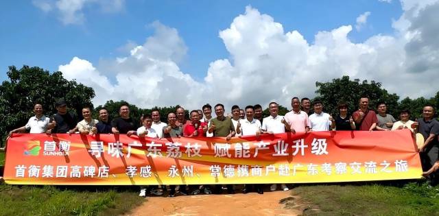 四地联动逐荔广东！首衡集团荔枝产地行收获丰