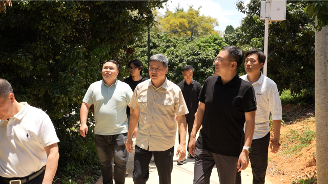 连国荣（左四）带领首衡产地行队伍在汕尾市隆兴源现代农业科技有限公司的荔枝园调研。
