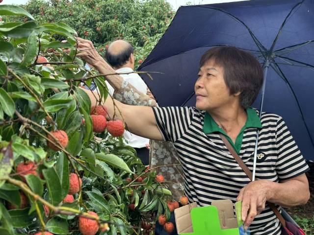 果园客如流，果农和游客双赢