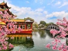 番禺紫坭村：景点串起来，进村如入画｜广州百村观察