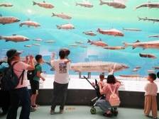 书写文化强国建设的时代答卷——写在2025文化强国建设高峰论坛开幕之际