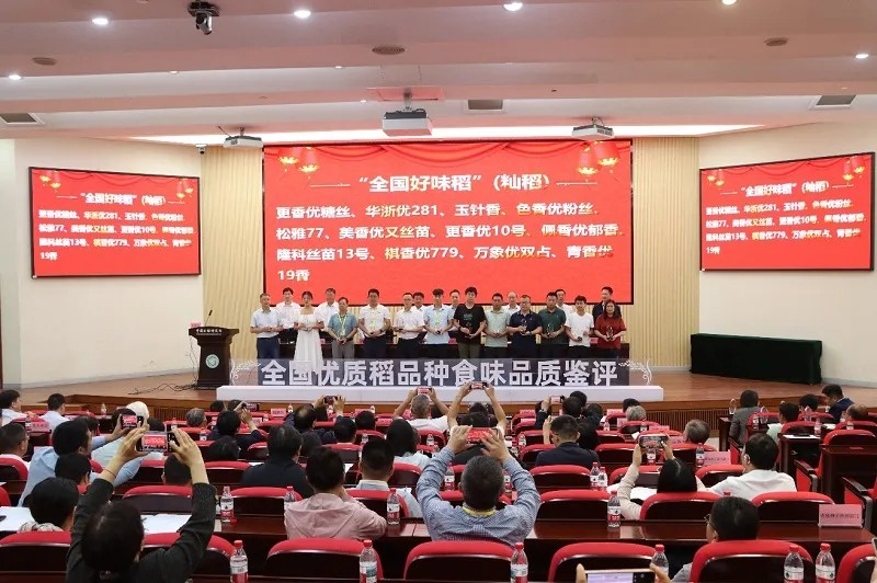 一六镇“青香优19香”荣获“全国好味稻”称号