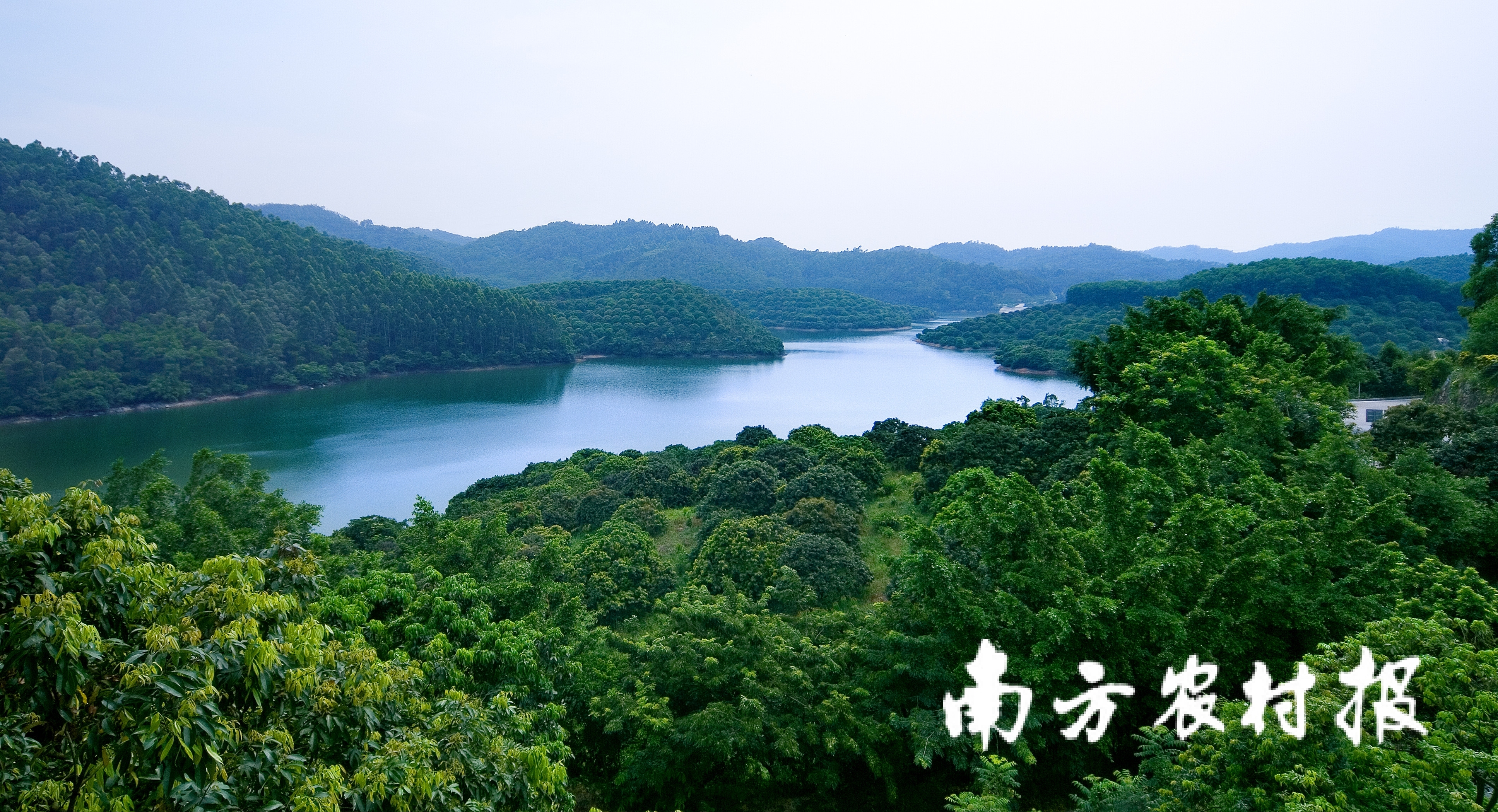 流溪河水源涵养林。元廣益林