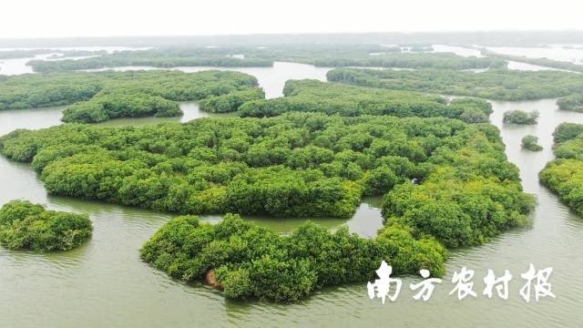 国家能源总体北仑电厂8号机组投运以640万千瓦总装机助力迎峰度夏