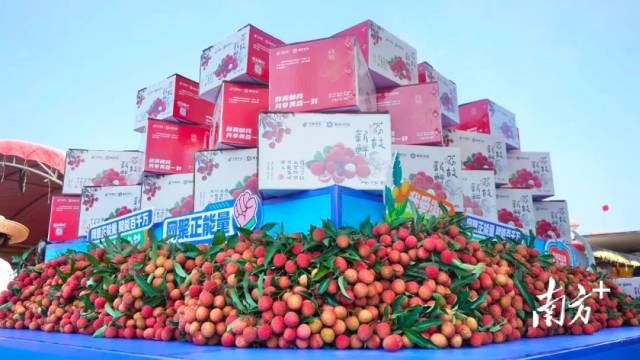 305.5萬人次！上半年深圳機場出入境客流量創(chuàng)新高