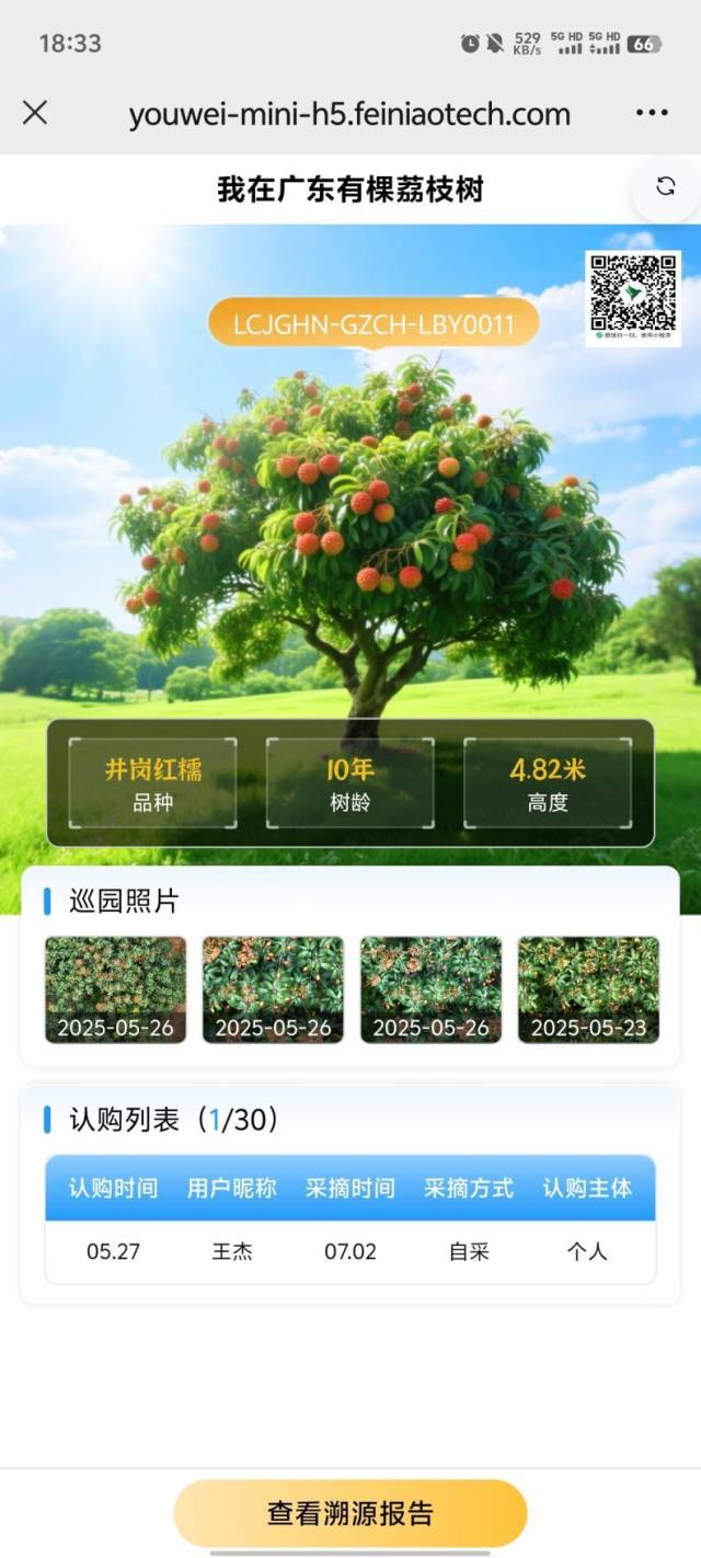 推介会现场，观众远程连线成功认购一棵广东荔枝树。