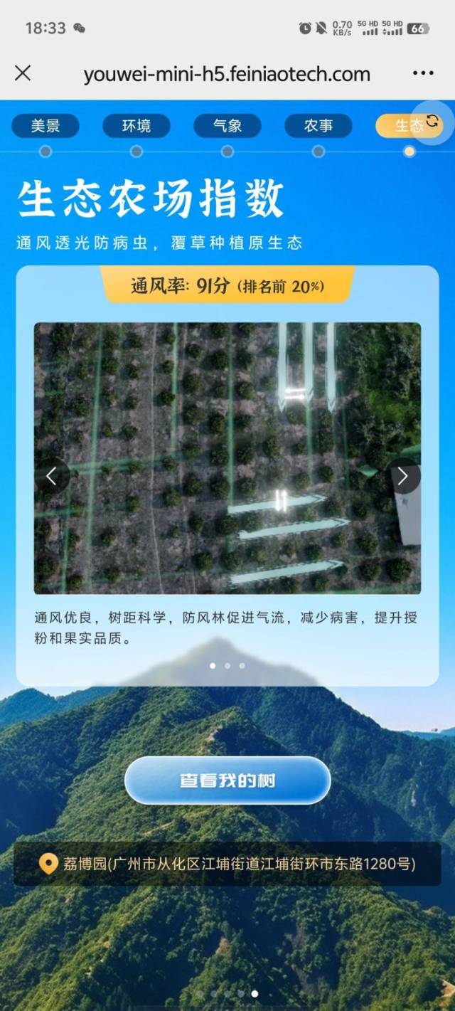 推介会现场，观众远程连线成功认购一棵广东荔枝树。