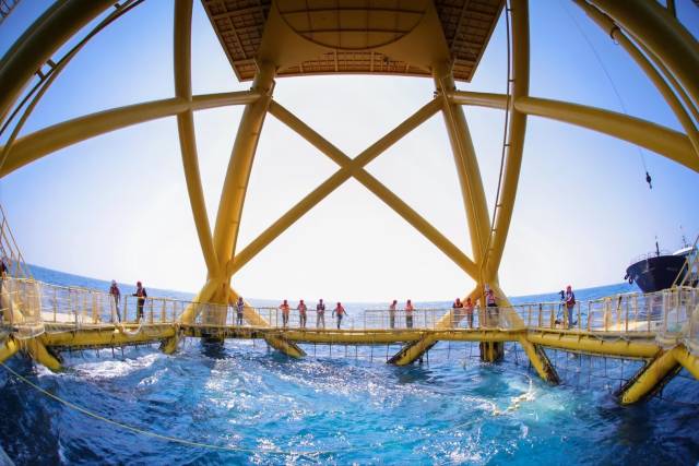 “明渔一号”养殖平台收获现场。