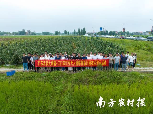 广东农技大讲堂-江门市豇豆无人遥感智能识别技术演示活动 广东农技大讲堂-江门市豇豆无人遥感智能识别技术演示活动