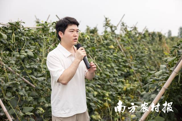 广东省农业科学院植物保护研究所助理研究员彭争科 广东省农业科学院植物保护研究所助理研究员彭争科