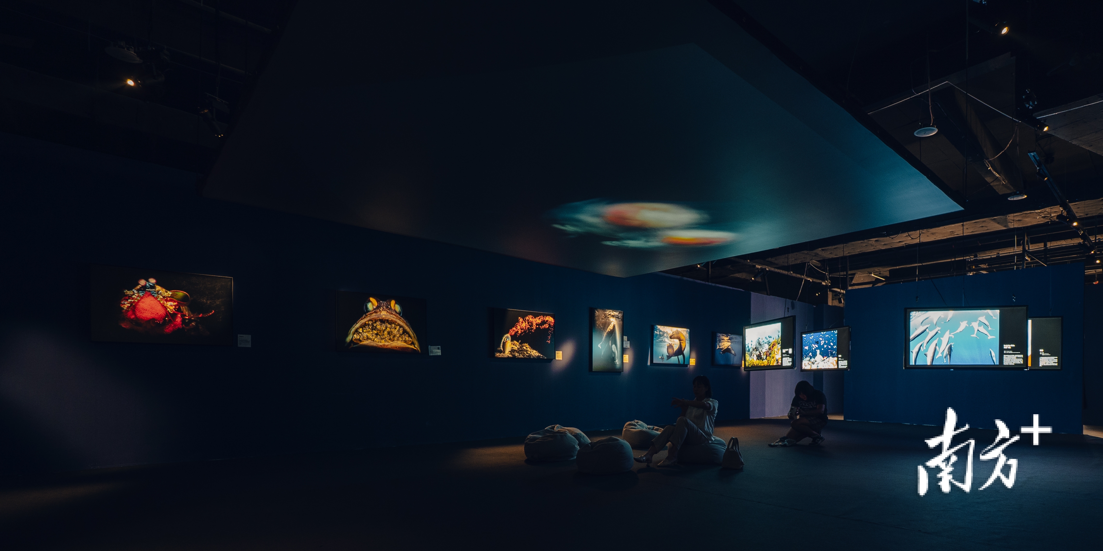 展览现场。