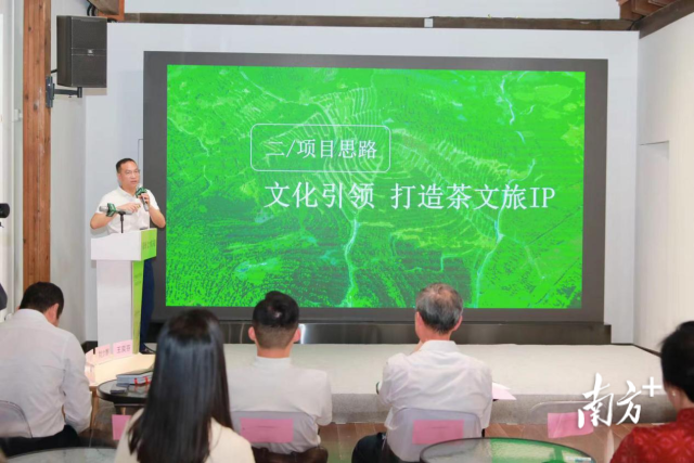 潮州凤凰单丛茶博物馆馆长、潮州市潮安区凤凰山茶旅促进会会长魏琪敏。