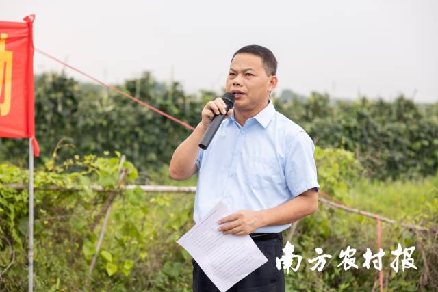 江门市农业技术推广服务中心主任梁伟光 江门市农业技术推广服务中心主任梁伟光