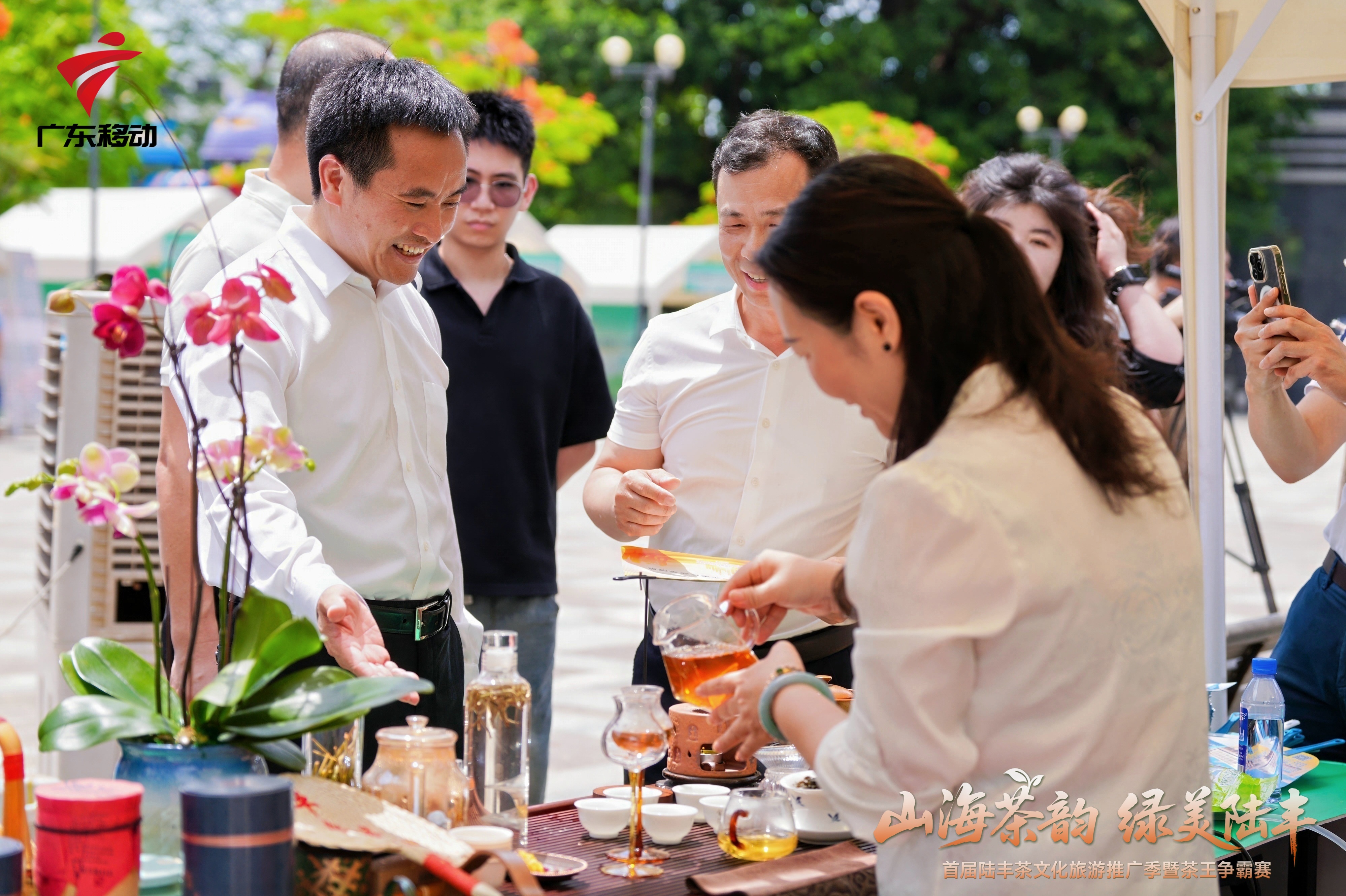 南方观察丨自带花果香的陆丰茶,如何让“茶王”带旺“茶旅”?_南方+_南方plus
