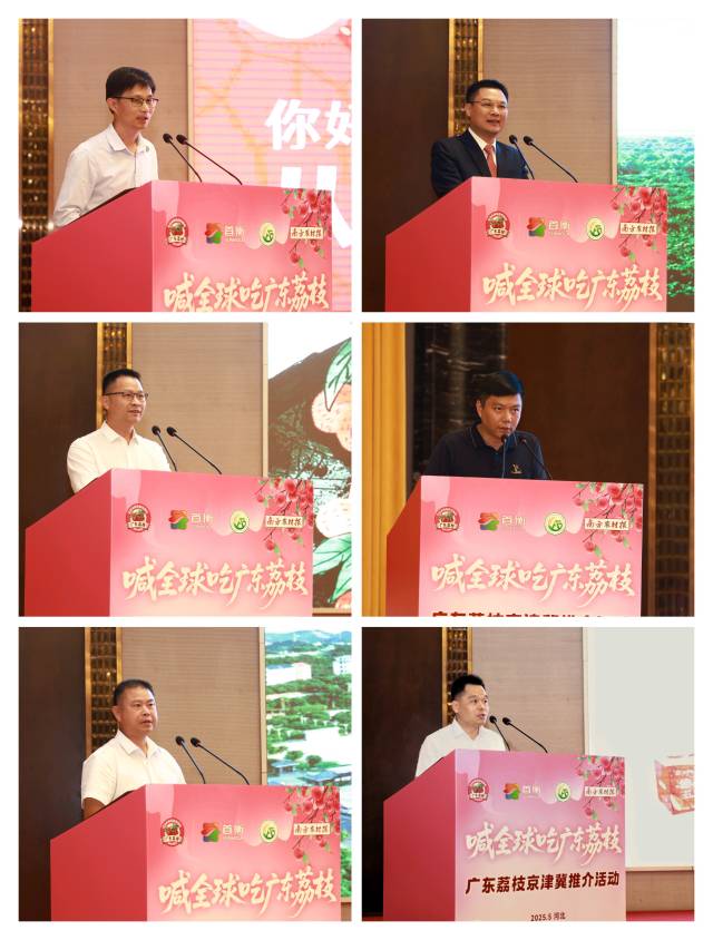 荔枝主产区代表推介。