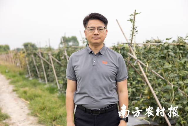 江门市农业技术服务中心高级工程师杨明祥 江门市农业技术服务中心高级工程师杨明祥