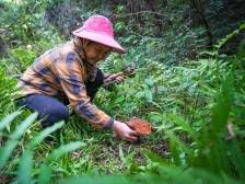 林业企业有了“娘家”！梅州市林业产业协会成立