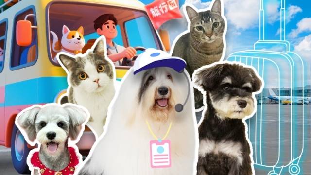 萌宠驾到！宠物出行新体验