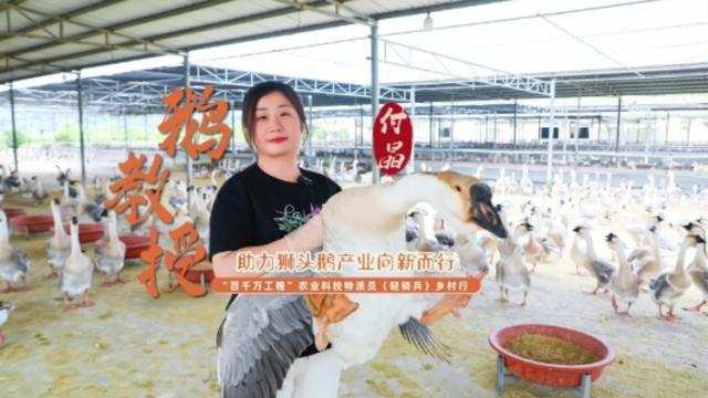 “鹅”教授付晶： 助力狮头鹅产业向新而行 | 农技先锋行