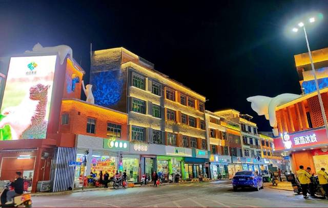 龙门永汉镇打造“豹猫小镇”，推动圩镇变景区。