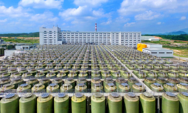 阳西持续发力做强以调味品为主导产业的健康食品产业园。李泮 摄 阳西持续发力做强以调味品为主导产业的健康食品产业园。李泮 摄