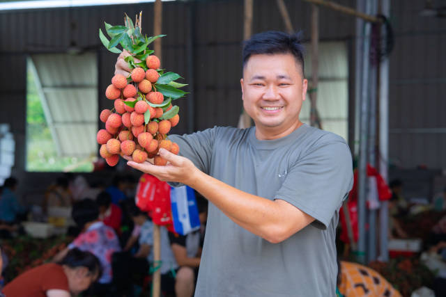 平山镇泮水塘村代表夏小锋展示优质白糖罂荔枝。