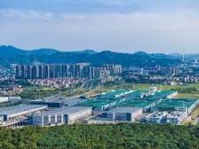 高见｜超前的杨和