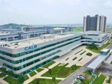 百千万·数读江门｜稳居全省前列，主平台如何撬动县域经济？