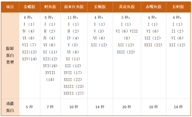 不同品種花膠活性蛋白對(duì)比,。（來(lái)源：中國(guó)漁業(yè)協(xié)會(huì)魚膠（花膠）分會(huì)）