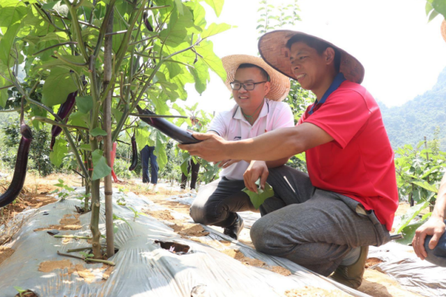 英德市横石塘镇龙华村党总支书记、通报村委会主任刘子科