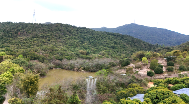 飞防作业。  受访者供图