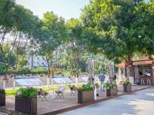 南沙唯一，他获评全省“百千万工程”突出个人