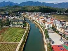 韶关武江重阳镇：以“典”带面绘就振兴新画卷