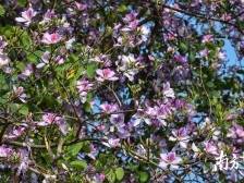 用温暖点亮社区！黄花岗街犀牛北社区启动慈善民生微实事活动