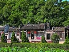 以“典”带面强镇兴村，番禺区“百千万工程”让乡村治理具象化