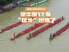 视频｜寮厦河畔鼓声起，望牛墩17条“猛龙”燃爆了