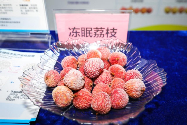 广东省农业迷信院并吞荔枝保鲜关键技术