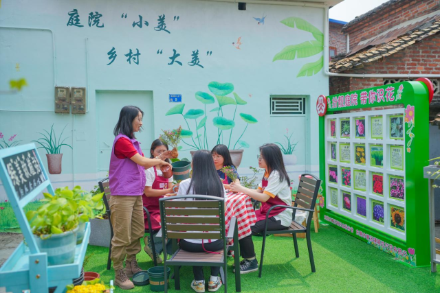 在横沥镇隔坑村，花卉银行派出专业导师团和创美巾帼志愿者入户指导改造庭院。