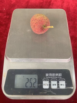 业内荔枝“一级果”的标准之一便是单果重量超23克。