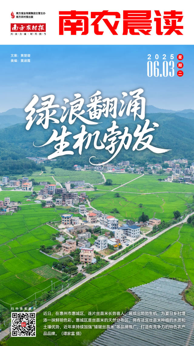 南方農(nóng)村報(bào) 吳俊麒 制圖