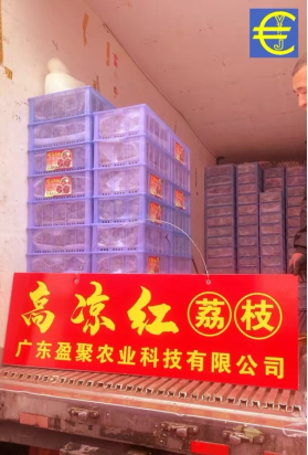 5月30日，2025广东高州荔枝华北市场首柜开卖。