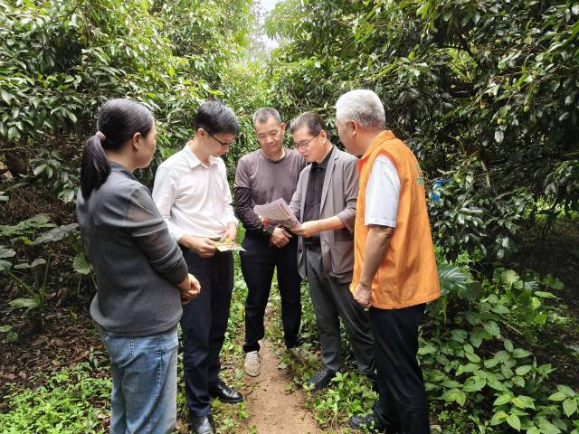 一行人在田间地头指导农户安全用药。 一行人在田间地头指导农户安全用药。