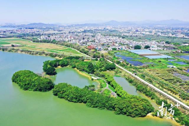 位于澄海区的白鹤滩湿地公园。  受访者供图