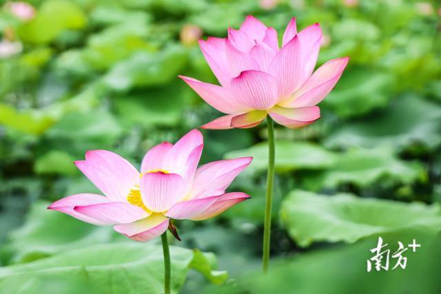    南方+ 张浩森 拍摄