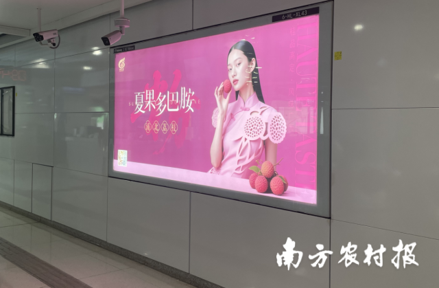 浦北荔枝广告亮相深圳商圈和地铁。