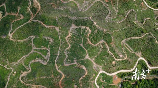    南方+ 张浩森 拍摄