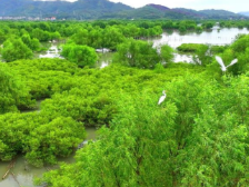 广东出台海洋经济条例，支持建设现代海洋城市