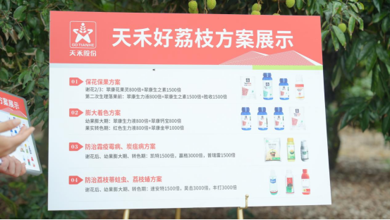 受访者供图