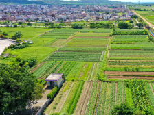 汕尾城区“百千万”这样干④｜转动空间“魔方”，改革点燃创新引擎